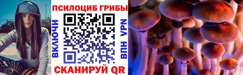 Псилоцибиновые грибы Magic Shrooms  darknet официальный сайт  Афипский  даркнет сайт 