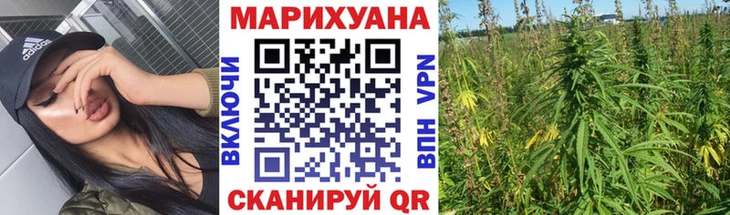 Бошки Шишки ГИДРОПОН  Афипский 